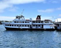 GH Bermudian Profile